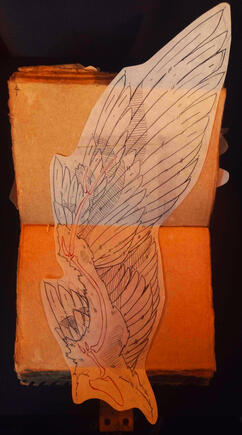 Untitled Untitled
